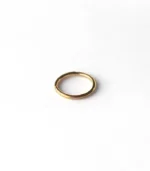 Standart Halka Piercing - Görsel 6